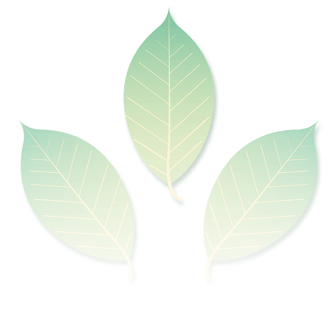 Leaf background