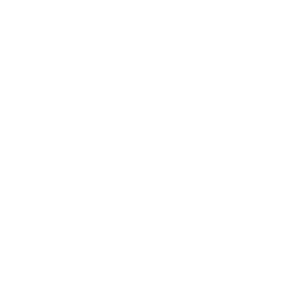 Vietnam Rubber Group
